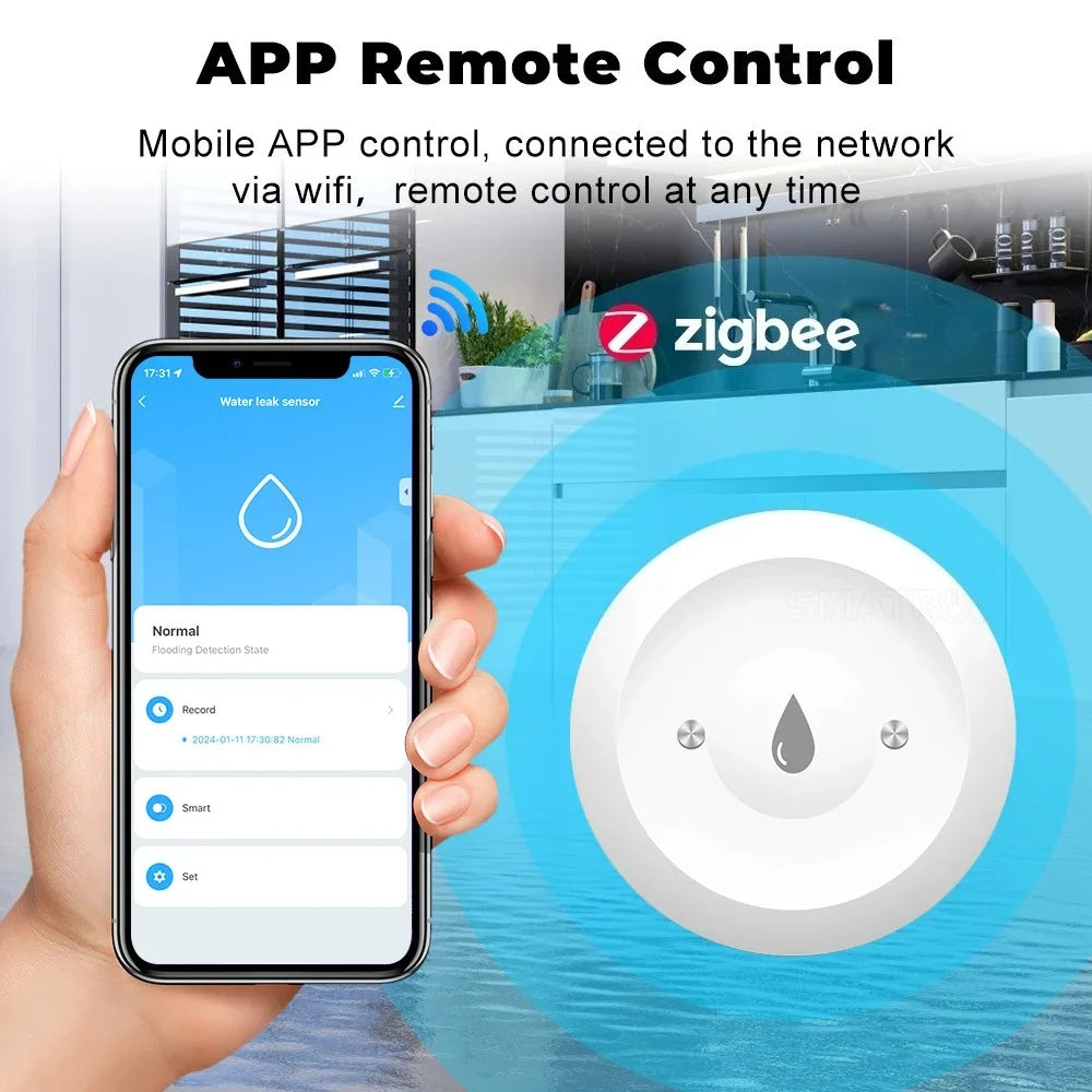Smart Water Leak Sensor