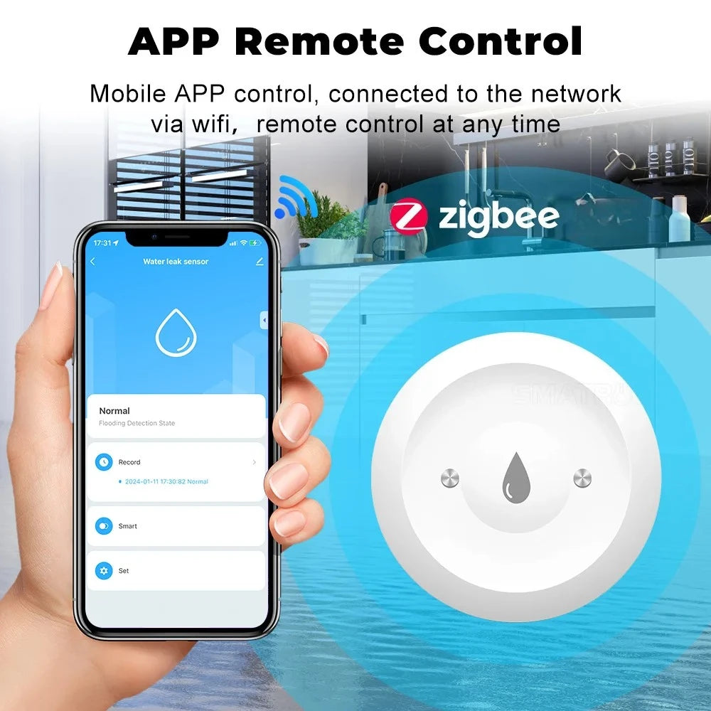 Smart Water Leak Sensor